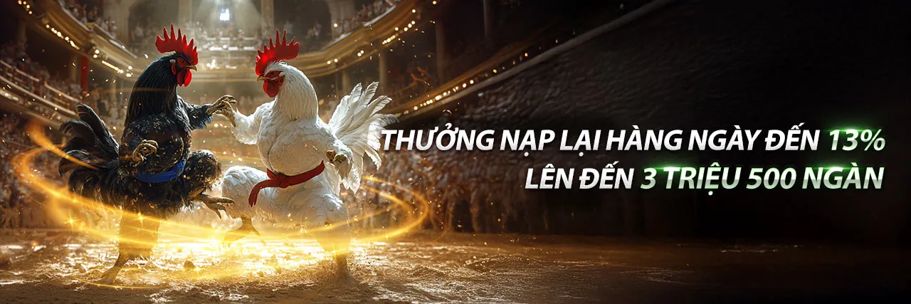 Đá gà trực tiếp ngày 31 tháng 5 - MV88 Casino
